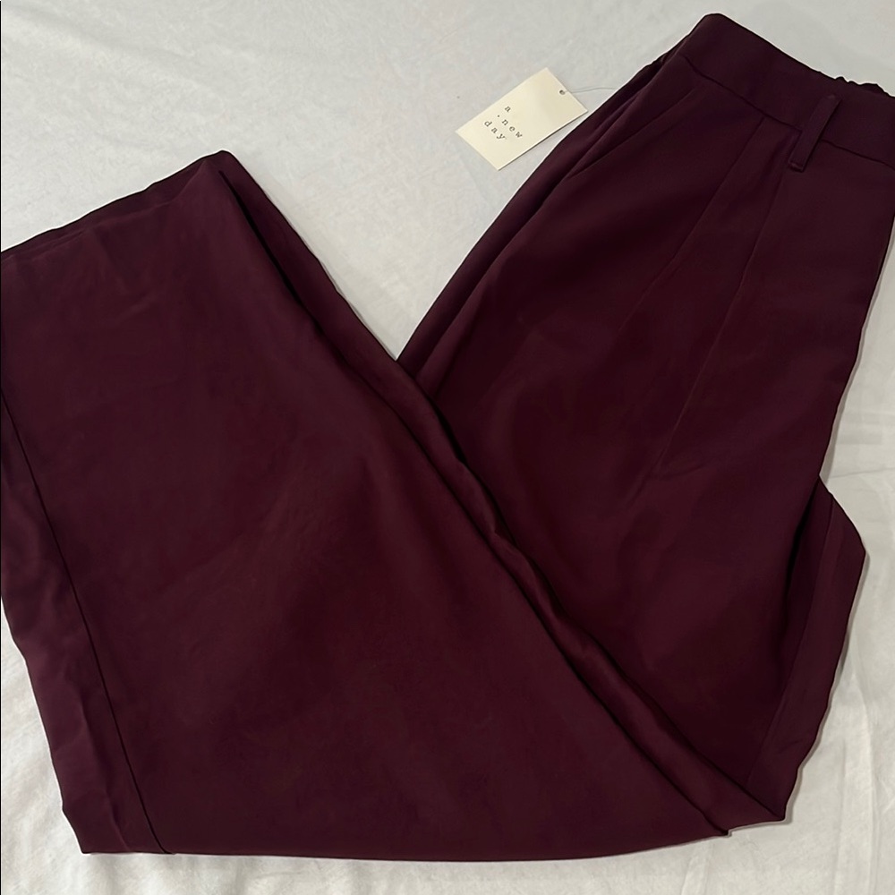 a new day | Deep Burgundy Plum Dress Pants, 4